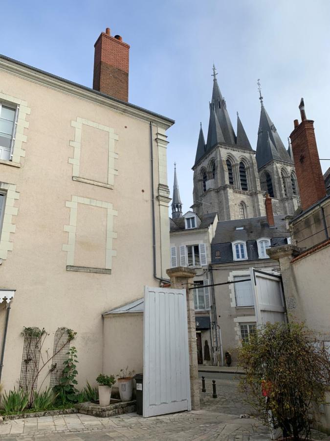 بلْوا T2 - Au Calme Royaloire - Chateau A Vue - Luxe, Renove المظهر الخارجي الصورة